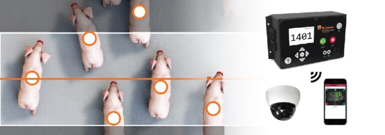 smart-counting-01-1553×545